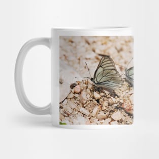 Aporia Crataegi Butterflies Mug